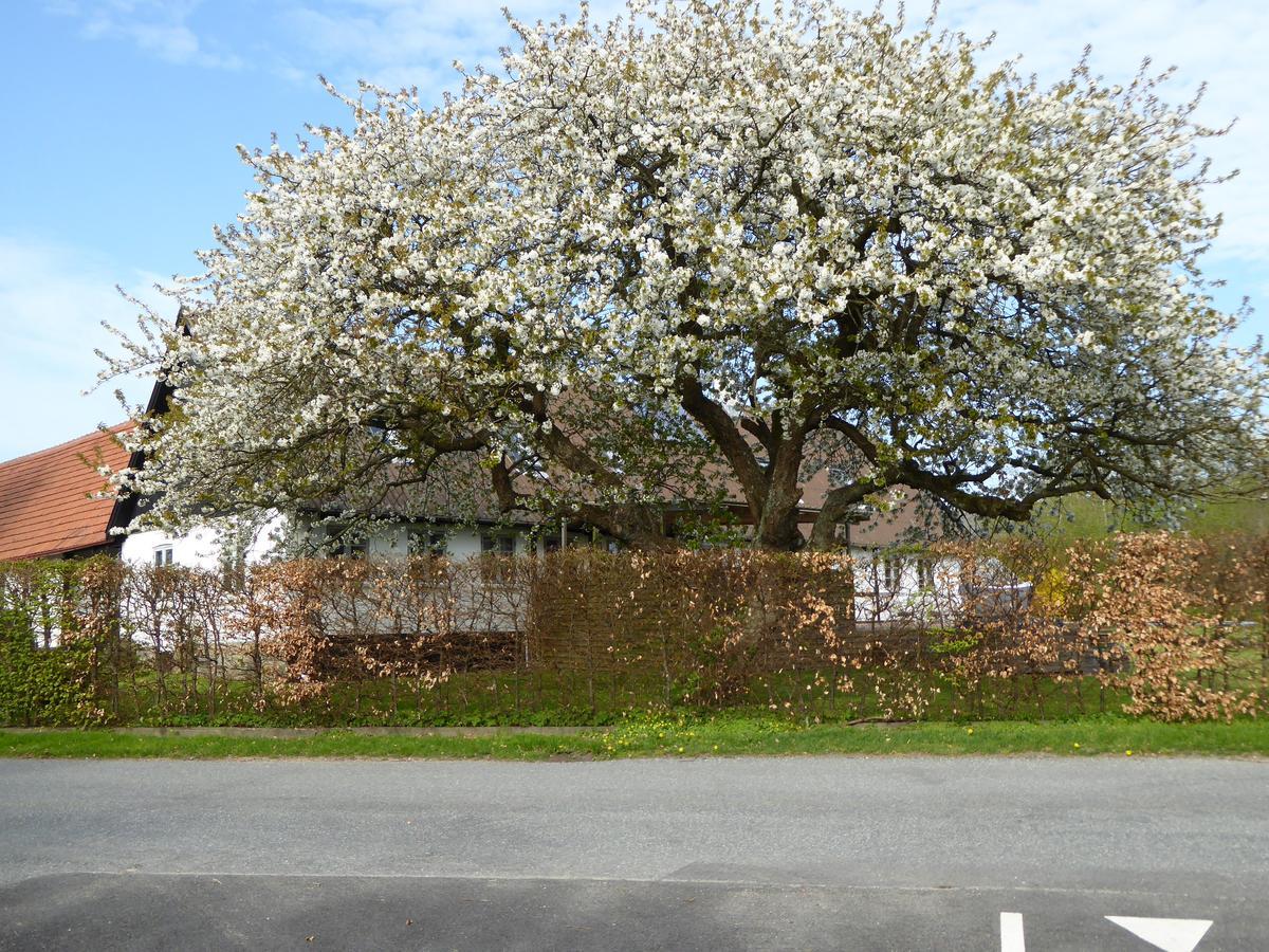 Apartmán Gard Borre Exteriér fotografie